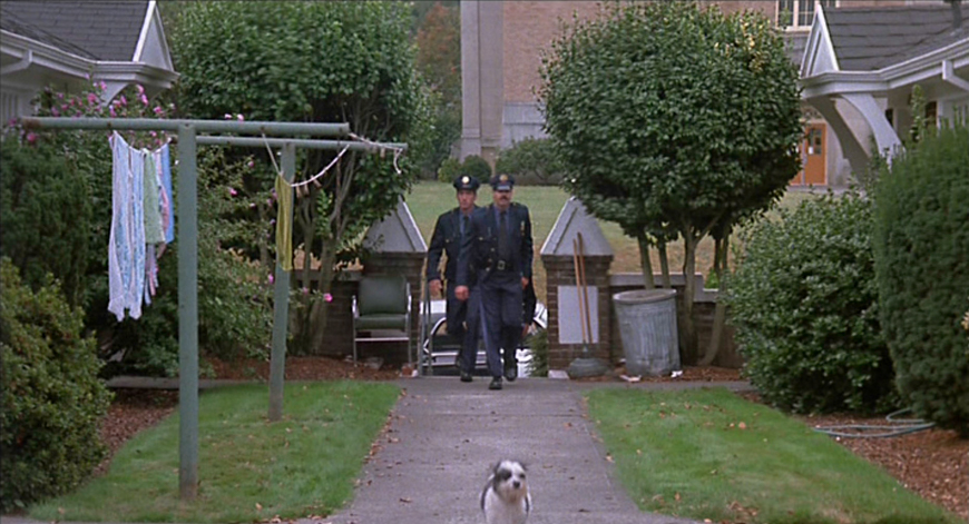 Where Panda leads the police.